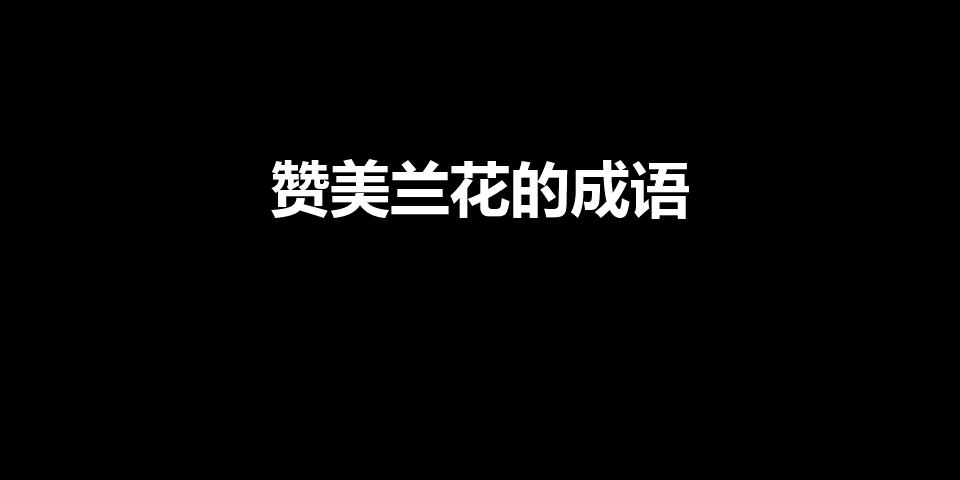 赞美兰花的成语（描写兰花的成语）