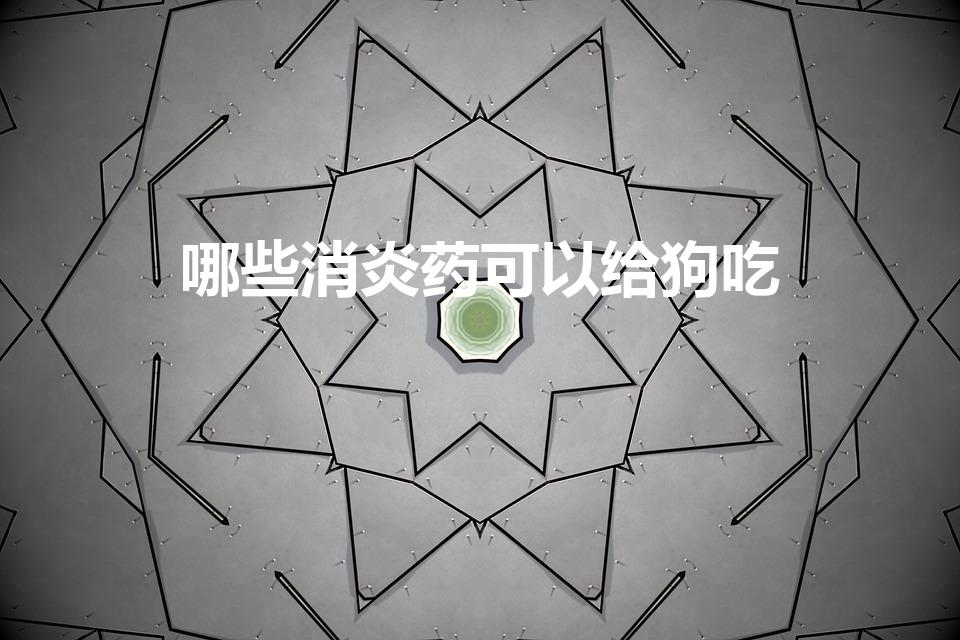 哪些消炎药可以给狗吃（狗狗适合吃什么消炎药）