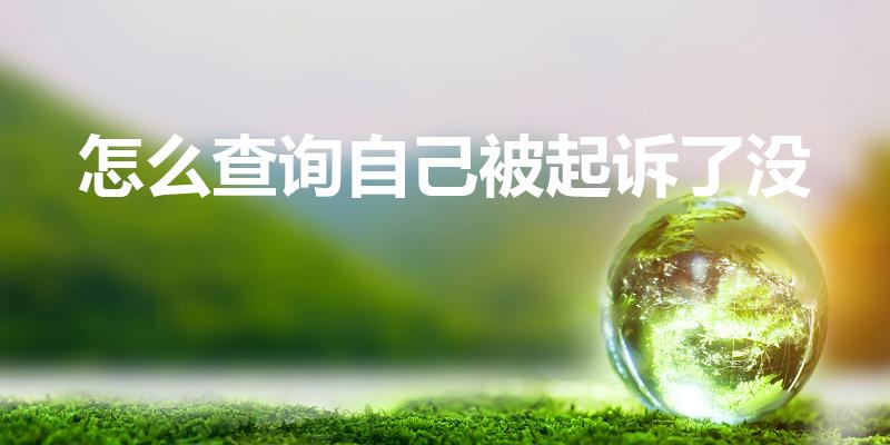 怎么查询自己被起诉了没（怎么知道自己被起诉了没有）