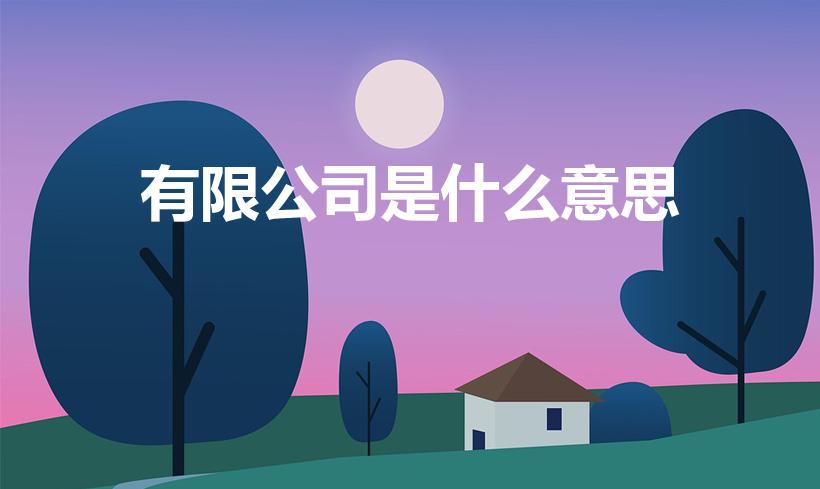 有限公司是什么意思（什么是有限公司）
