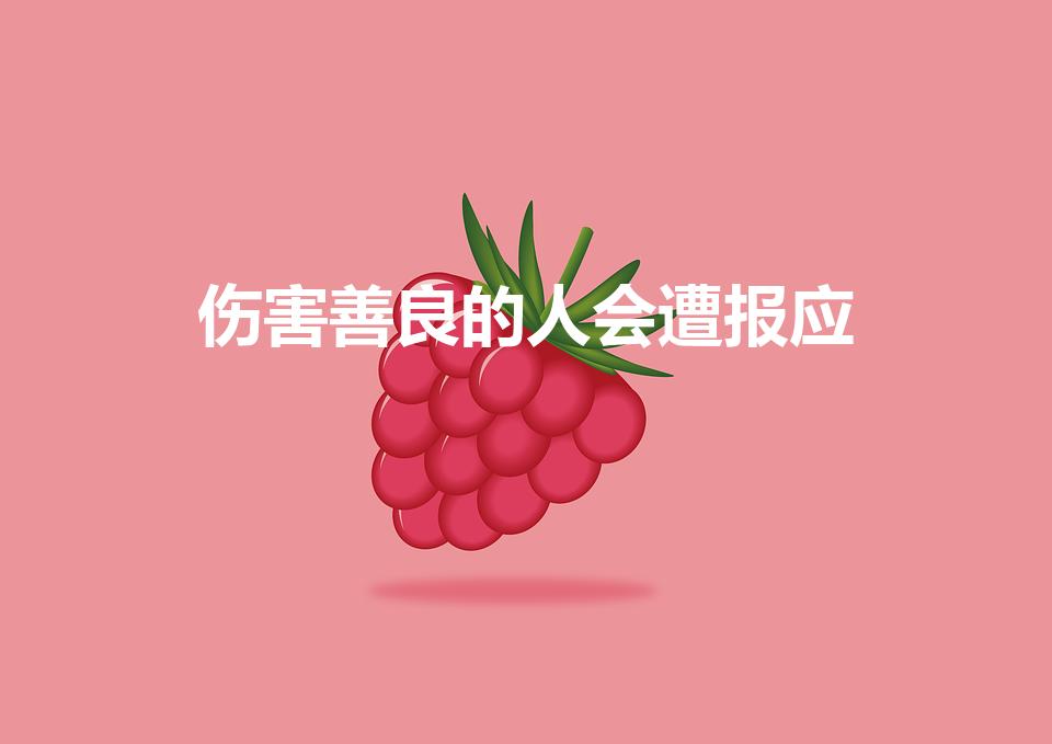 伤害善良的人会遭报应（伤害善良的人会有报应吗）