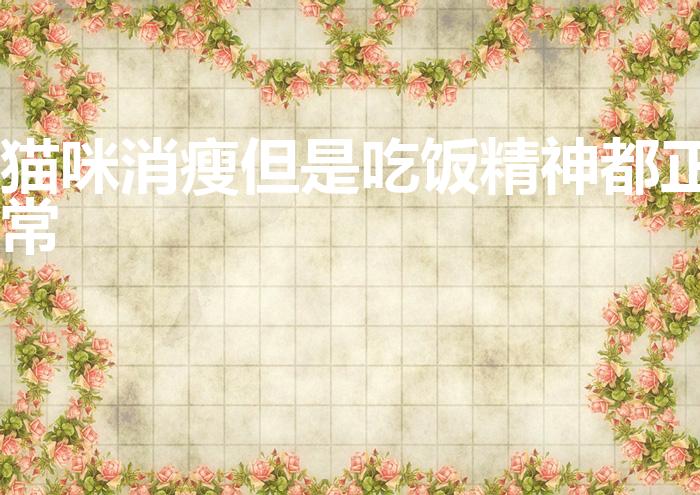 猫咪消瘦但是吃饭精神都正常（猫很瘦但是精神很好什么原因）