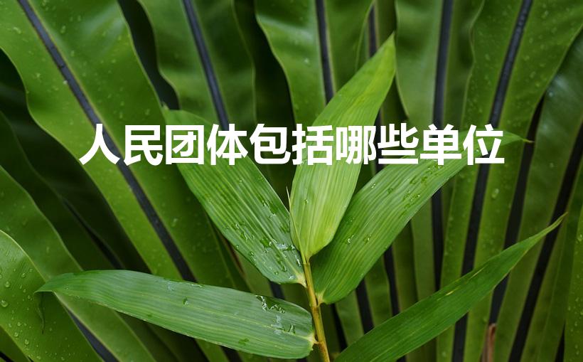 人民团体包括哪些单位（什么是人民团体,举个例子,谢谢）