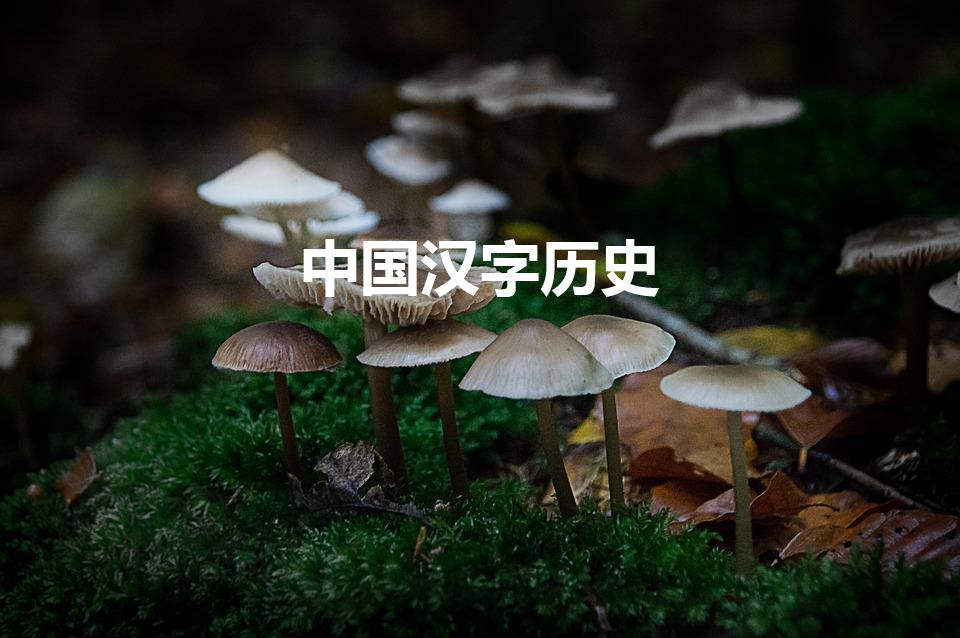 中国汉字历史（关于汉字的历史有哪些）