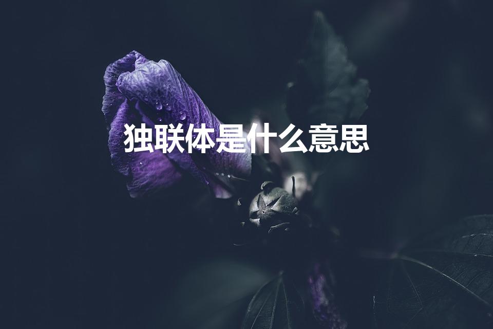 独联体是什么意思（什么是独立国家联合体）