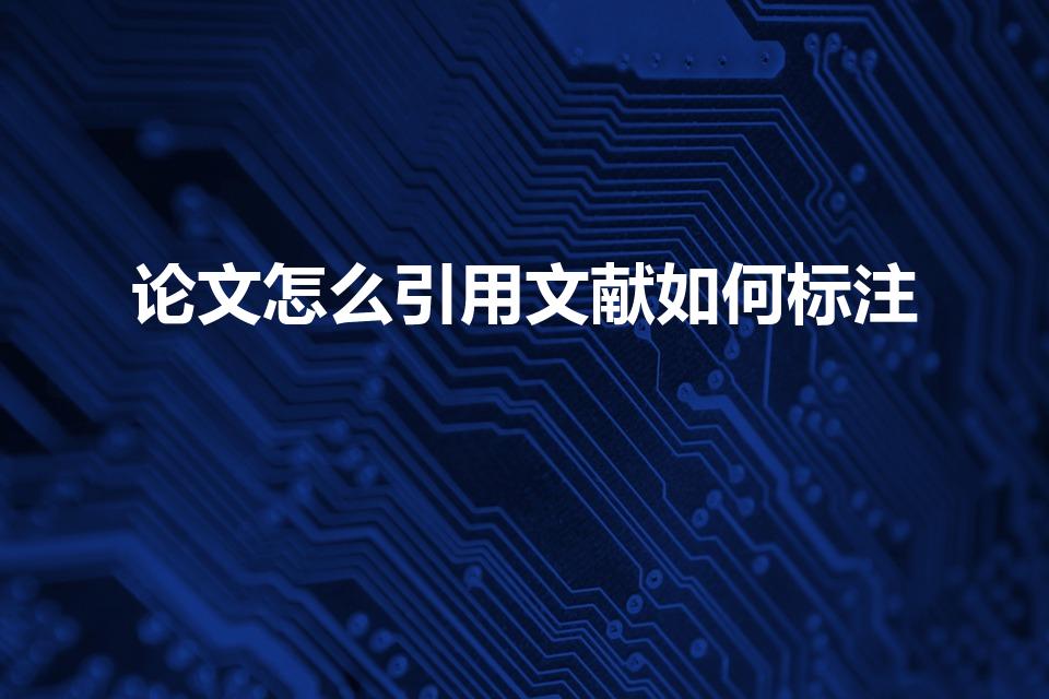 论文怎么引用文献如何标注（论文如何引用文献标注）