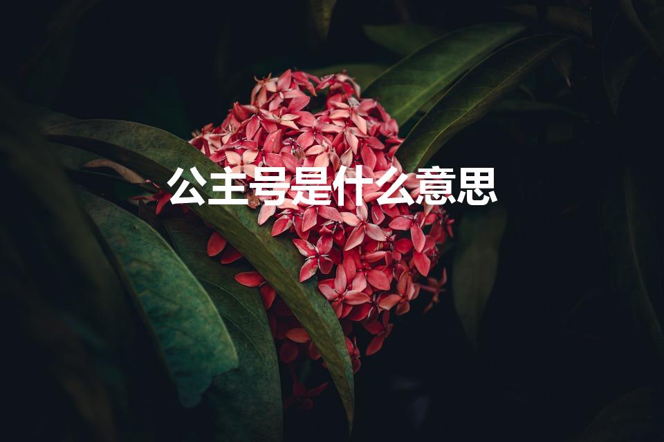 公主号是什么意思（公主号是什么软件）