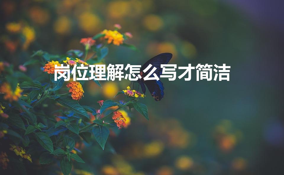 岗位理解怎么写才简洁（岗位职责认识与理解怎么写）