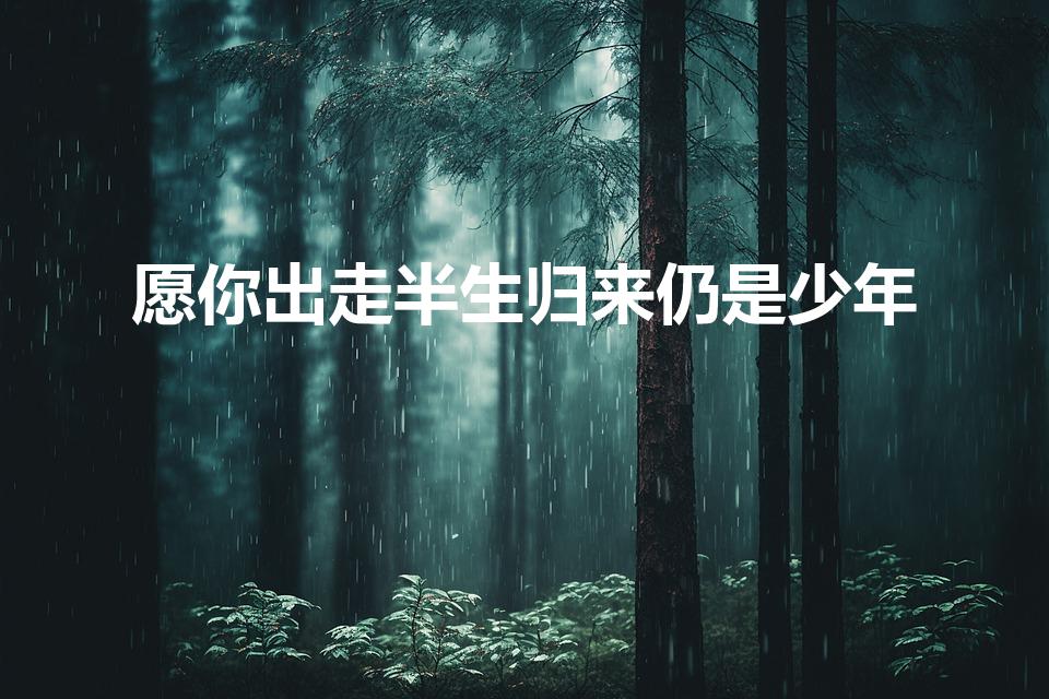 愿你出走半生归来仍是少年