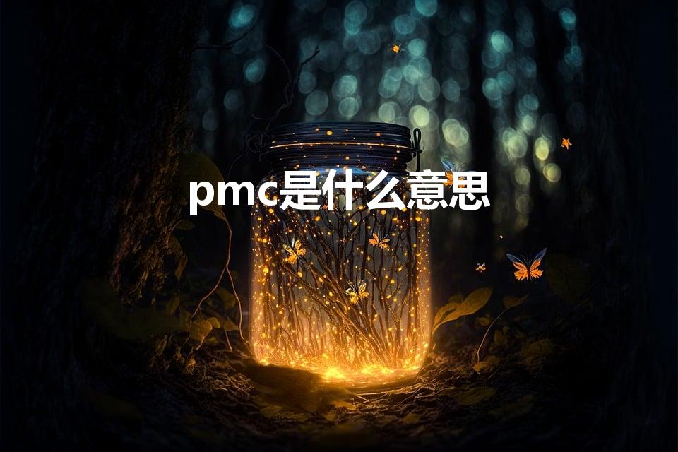 pmc是什么意思（英语PMC是什么缩写）