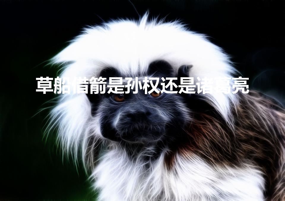 草船借箭是孙权还是诸葛亮
