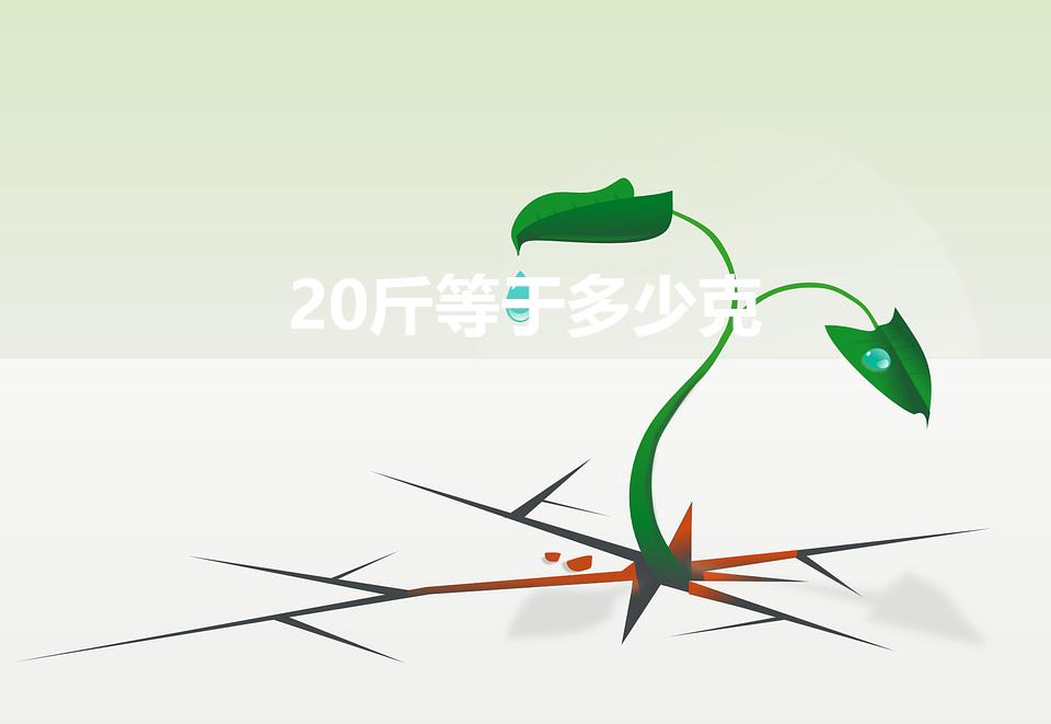 20斤等于多少克（二十斤多少克）