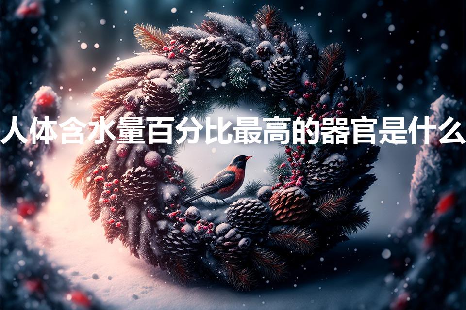 人体含水量百分比最高的器官是什么（人体含水最多的器官）