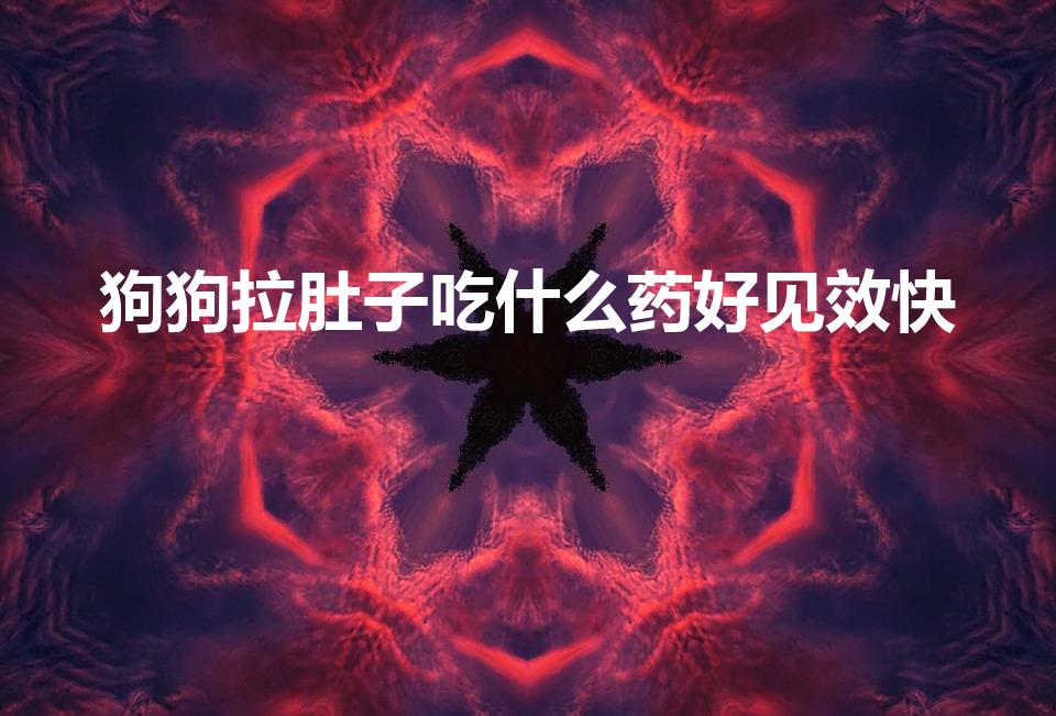 狗狗拉肚子吃什么药好见效快（狗狗拉肚子吃什么药好得快）