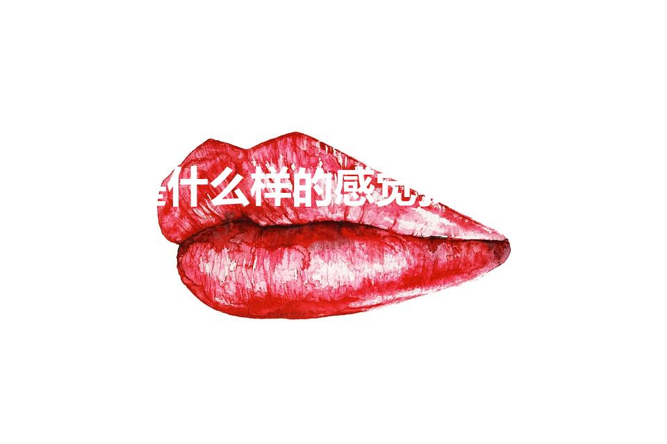 是什么样的感觉我不懂