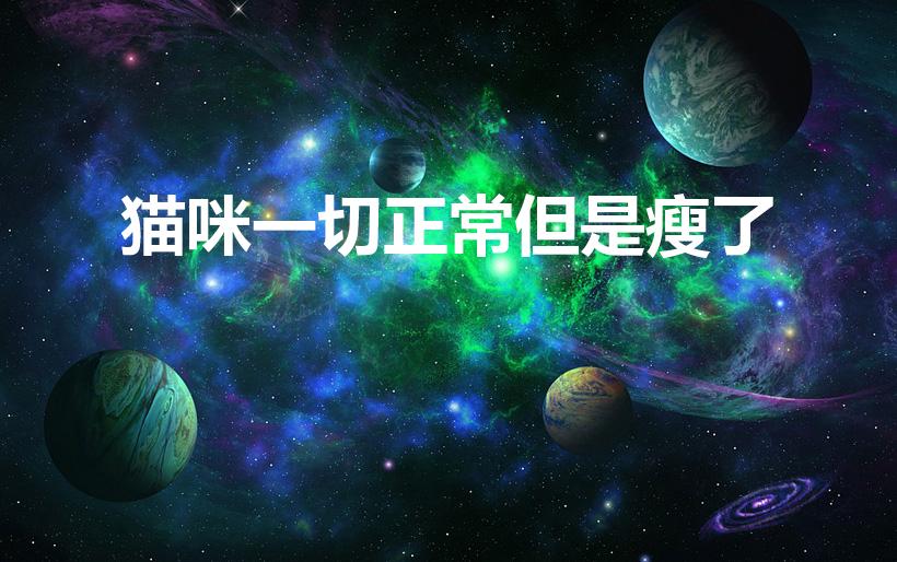 猫咪一切正常但是瘦了（猫咪变瘦了是怎么回事）
