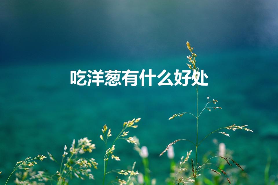 吃洋葱有什么好处（吃洋葱对我们的身体都有哪些好处）