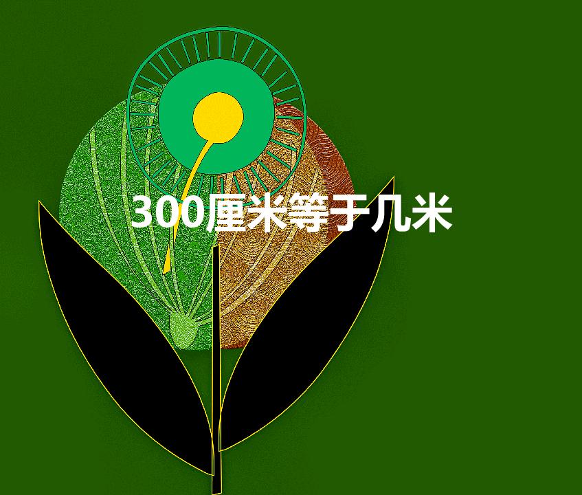 300厘米等于几米（300厘米等于多少米）