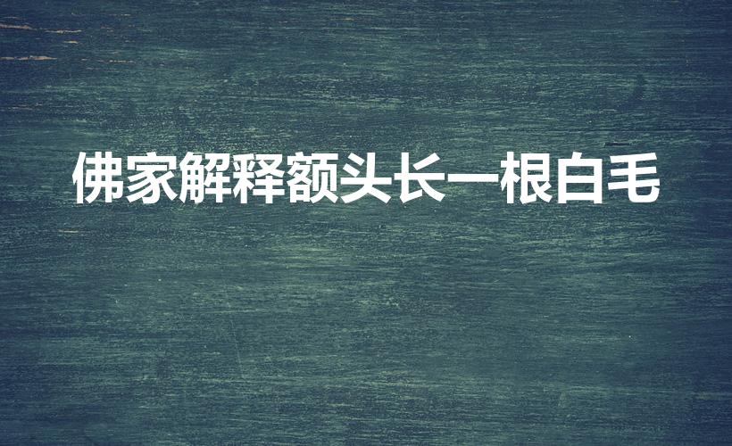 佛家解释额头长一根白毛（佛家解释长白毛）