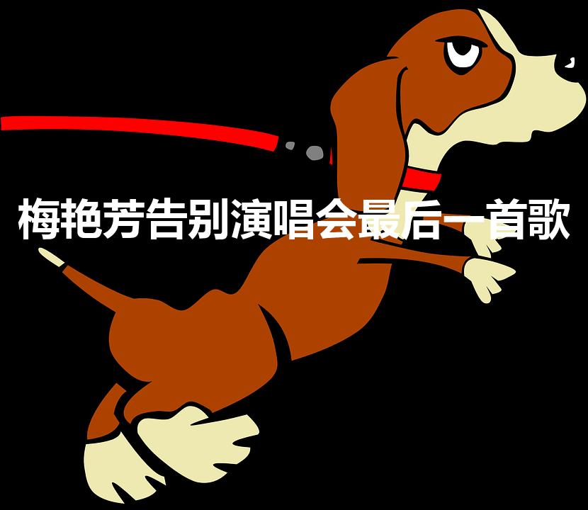梅艳芳告别演唱会最后一首歌