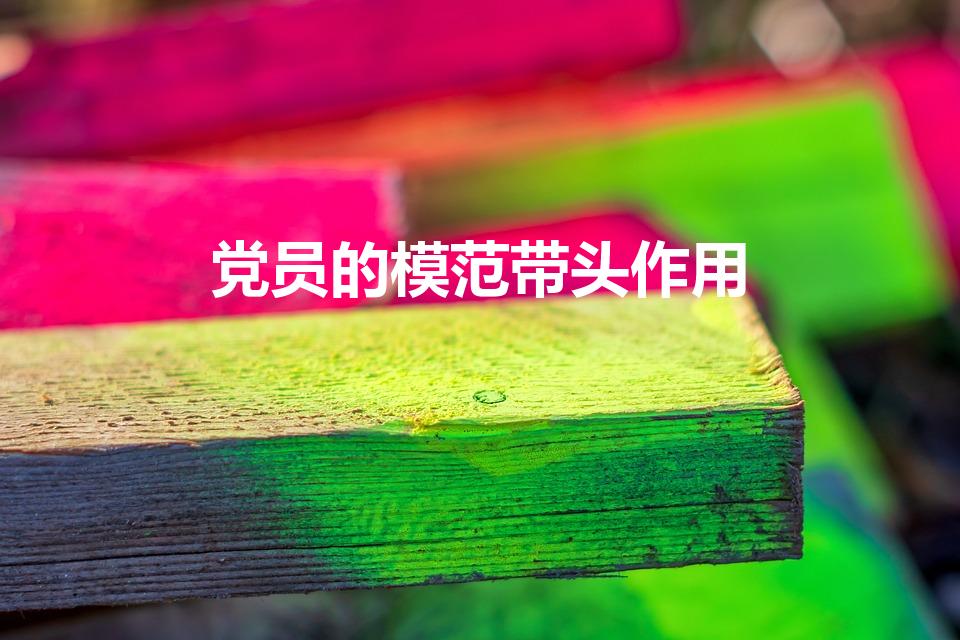 党员的模范带头作用（党员先锋模范作用的具体表现）
