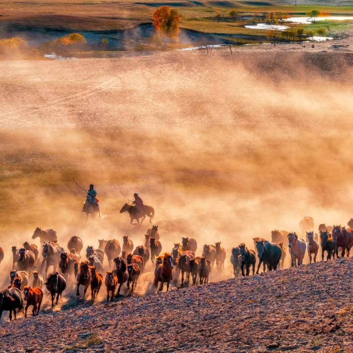 4540361f3ea64a6183beb3eb5fb1868cnoop.image_ 4540361f3ea64a6183beb3eb5fb1868cnoop.image_