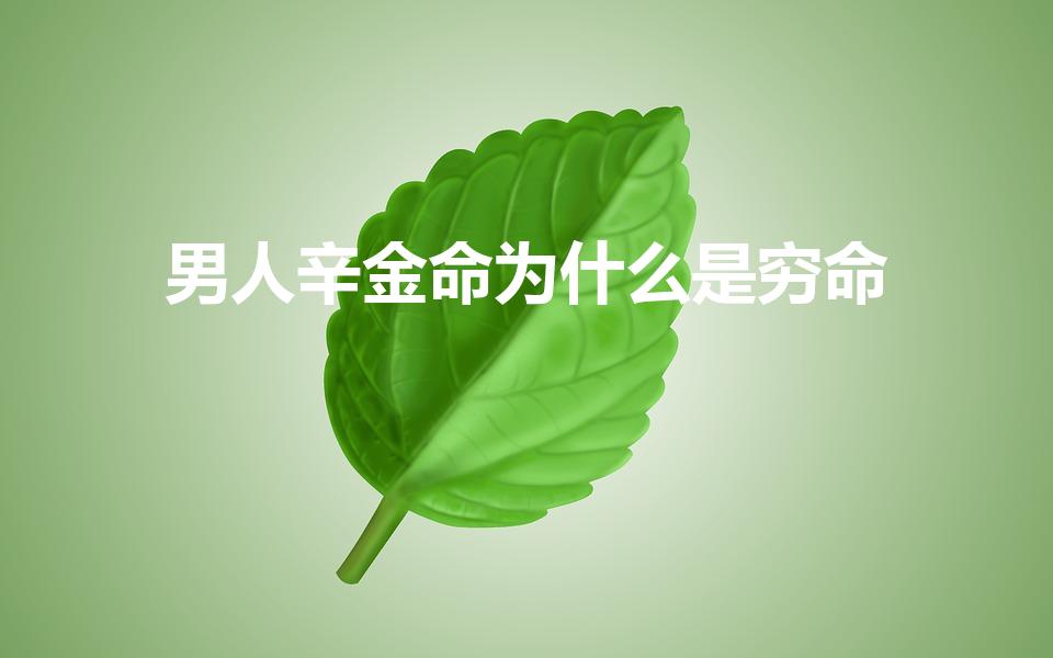 男人辛金命为什么是穷命（辛金是什么意思,辛金人性格命运）