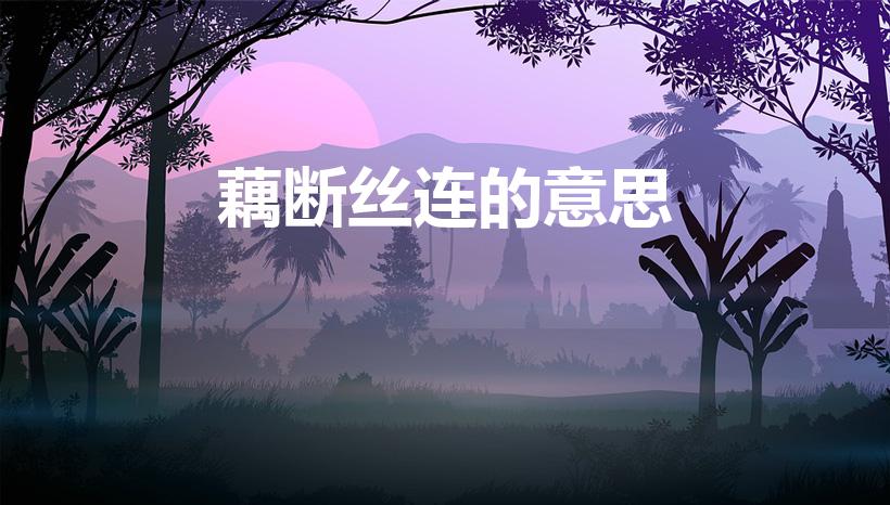 藕断丝连的意思（藕断丝连意思）