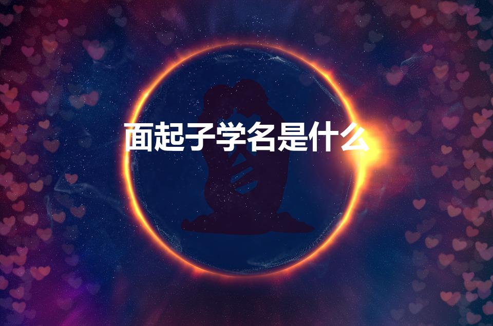 面起子学名是什么（面起子又叫什么）