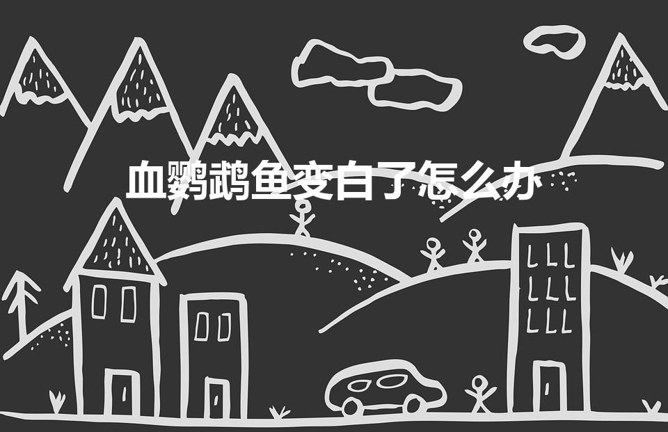 血鹦鹉鱼变白了怎么办（鹦鹉鱼变白怎么办）