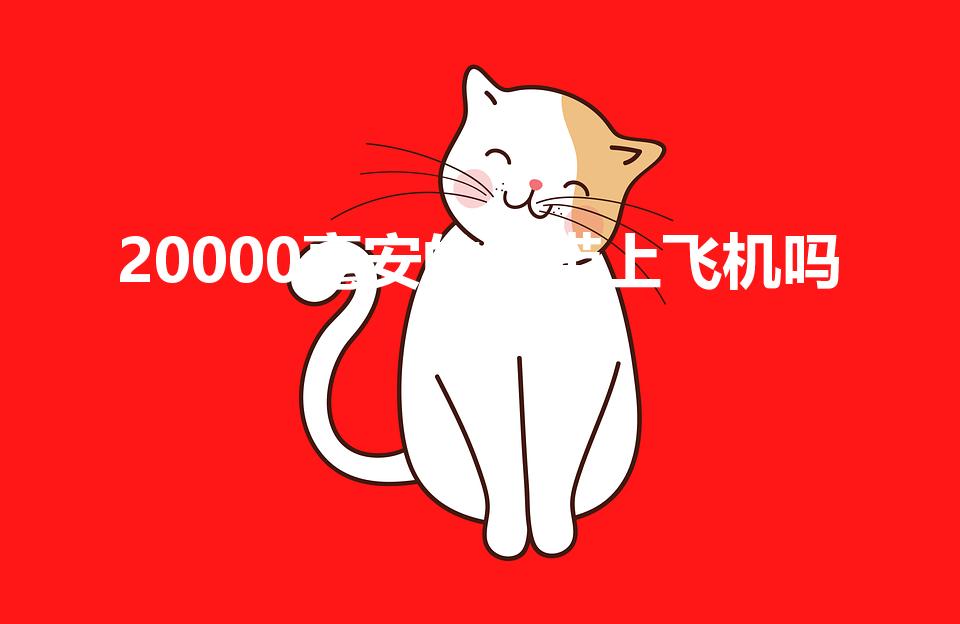 20000毫安的能带上飞机吗