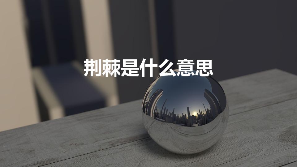 荆棘是什么意思（荆棘什么意思）