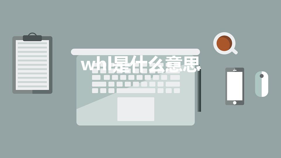 whl是什么意思（裤子上 的 W L 是 代表什么）