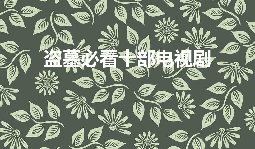 盗墓必看十部电视剧（盗墓必看十部电视剧有哪些）