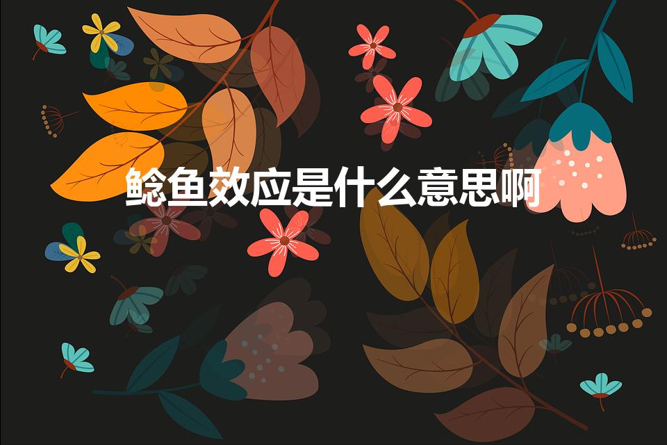 鲶鱼效应是什么意思啊（鲶鱼效应是什么意思）