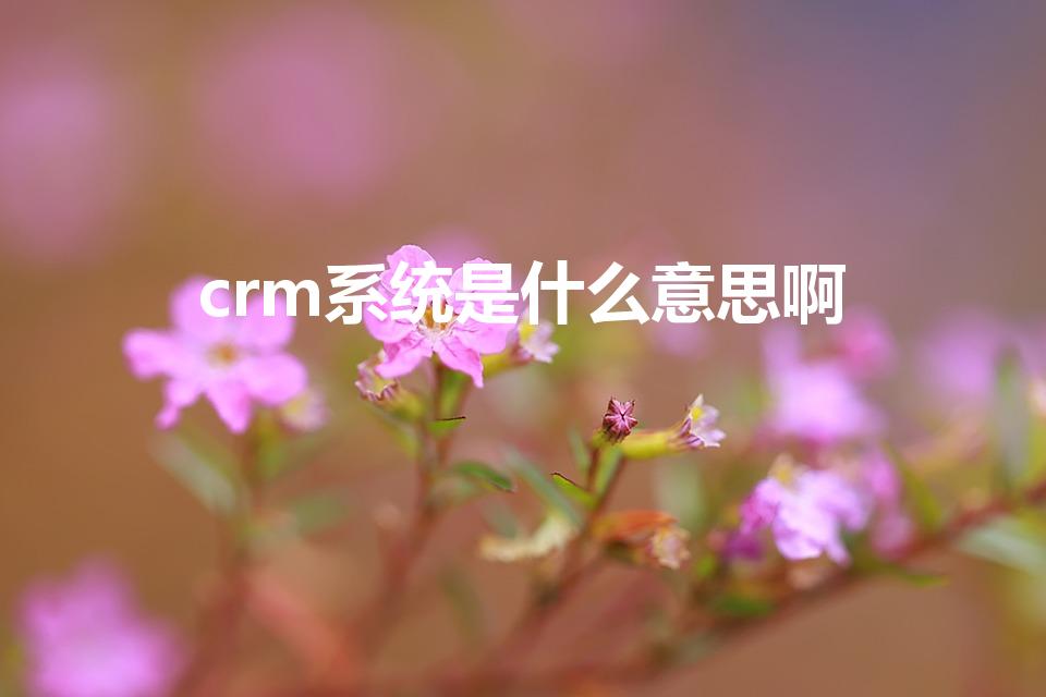 crm系统是什么意思啊（crm系统是什么系统）