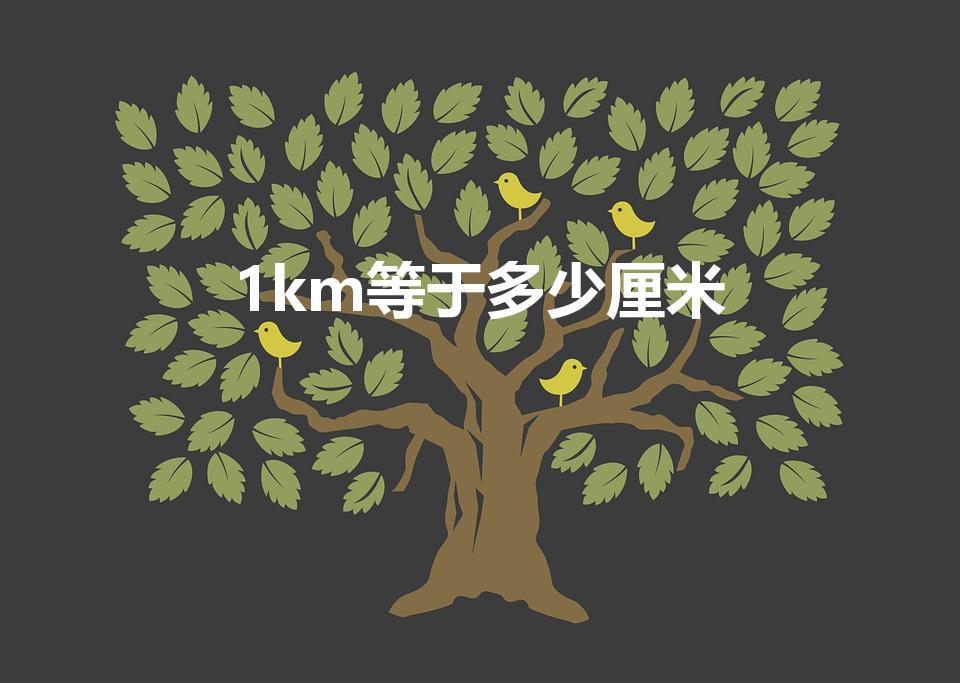 1km等于多少厘米（一千米多少厘米）