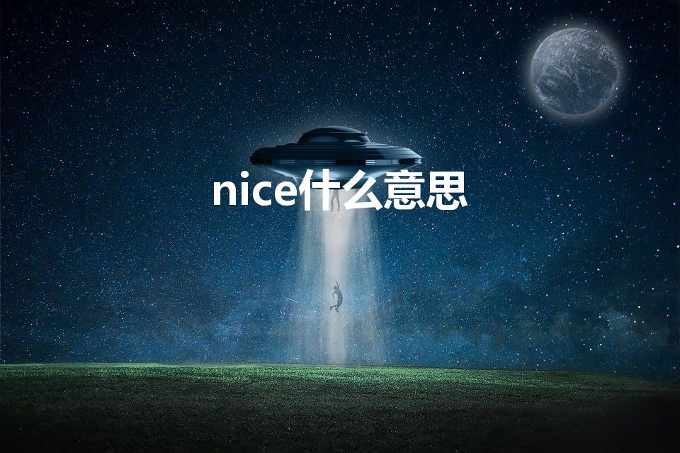 nice什么意思（英语nice的中文翻译）