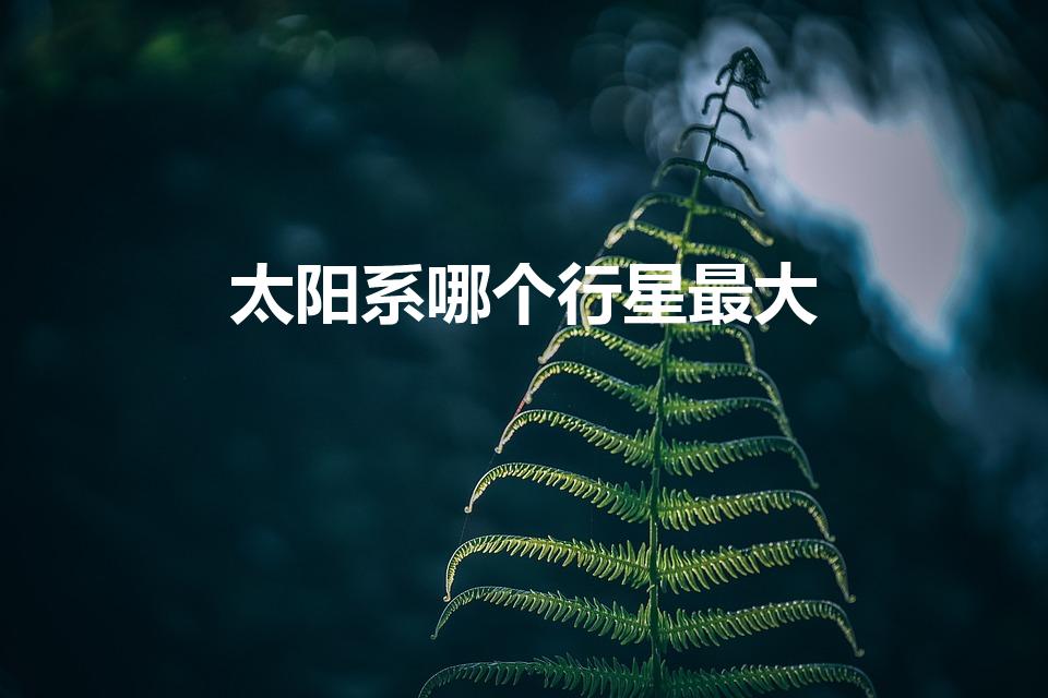 太阳系哪个行星最大（太阳系最大的行星是哪颗）