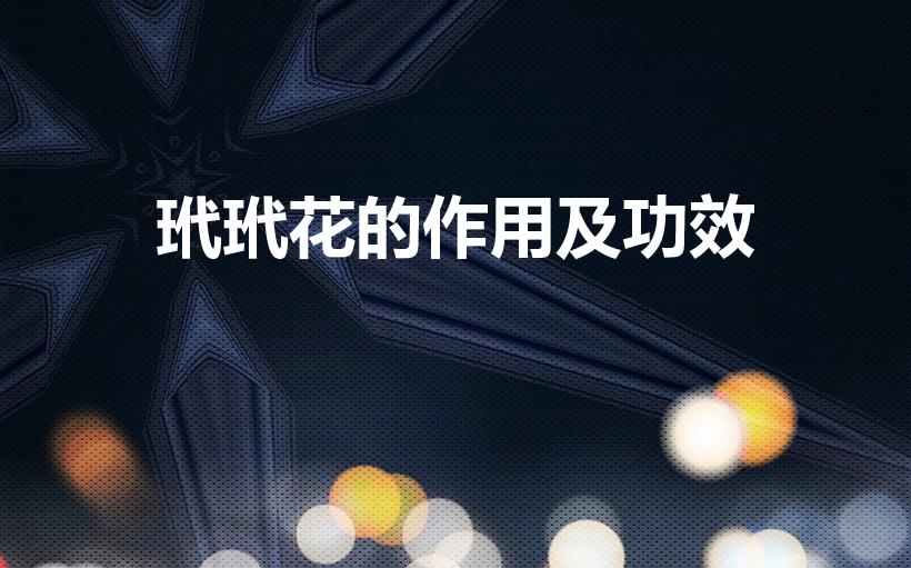 玳玳花的作用及功效（每天认识一味中药——玳玳花）
