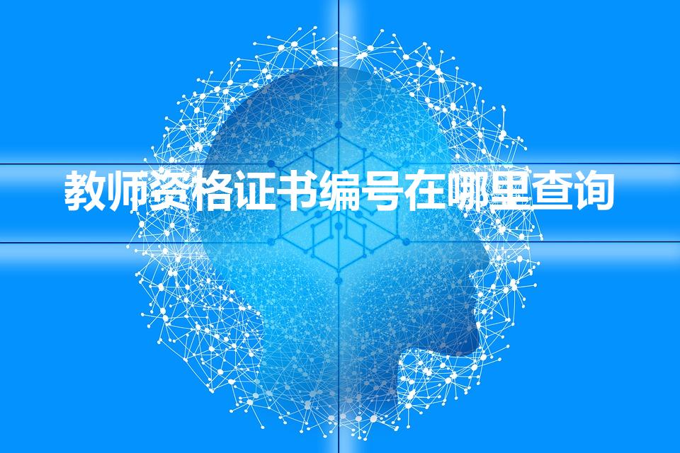 教师资格证书编号在哪里查询（请问教师资格证号在哪里查询）