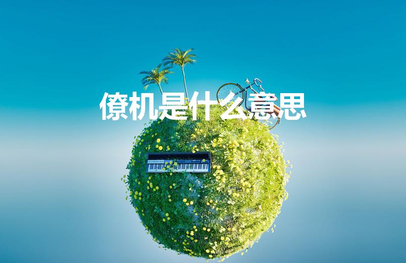 僚机是什么意思（什么是僚机）