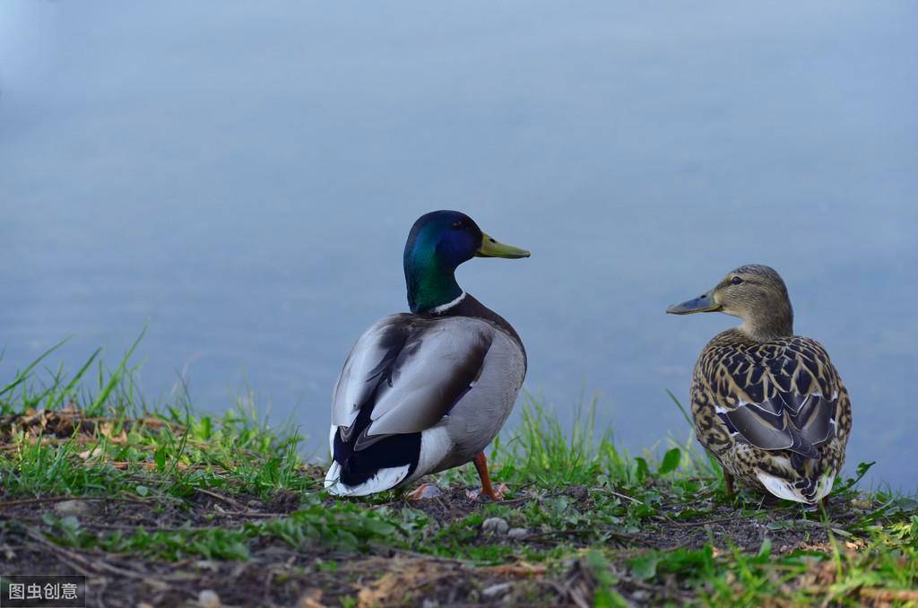 8020cf1d-e2e3-4122-ab0f-989090b5e8b7noop.image_ 8020cf1d-e2e3-4122-ab0f-989090b5e8b7noop.image_