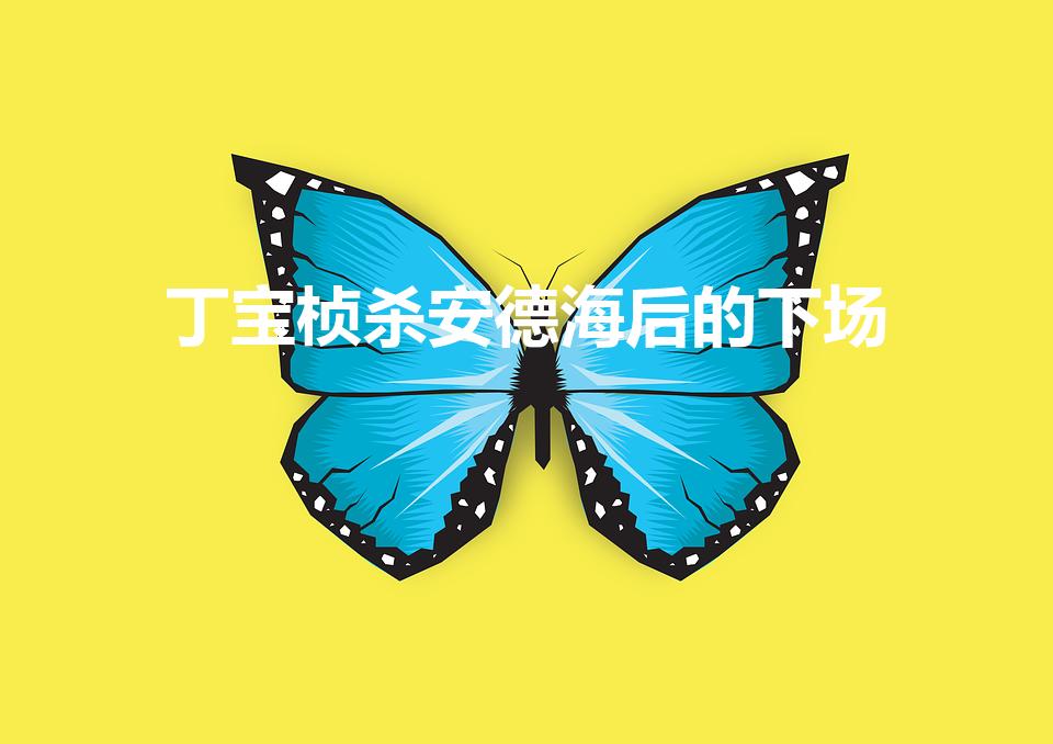 丁宝桢杀安德海后的下场