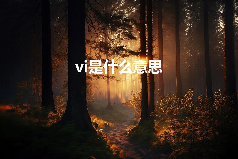 vi是什么意思（VI是什么意思）
