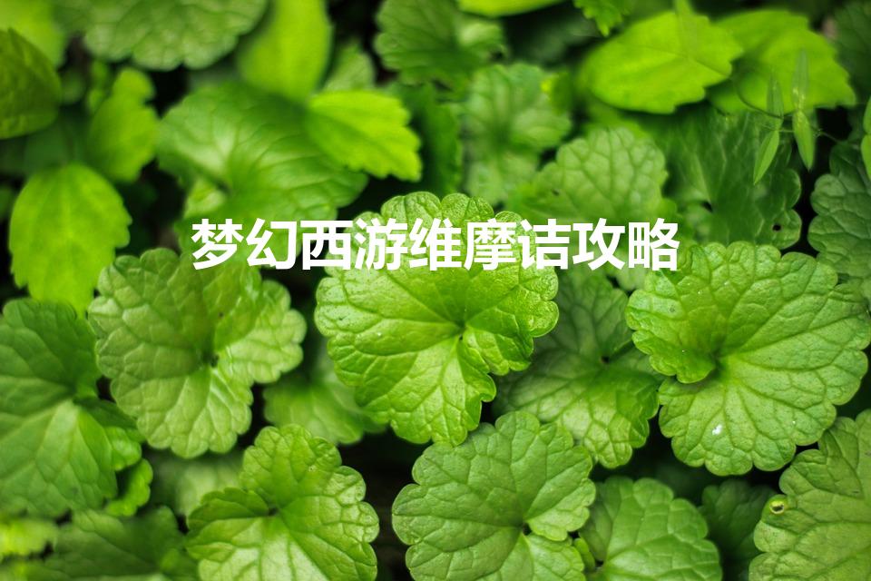梦幻西游维摩诘攻略（维摩诘攻略最佳路线）