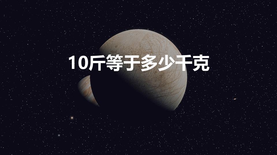 10斤等于多少千克（10斤是多少千克）