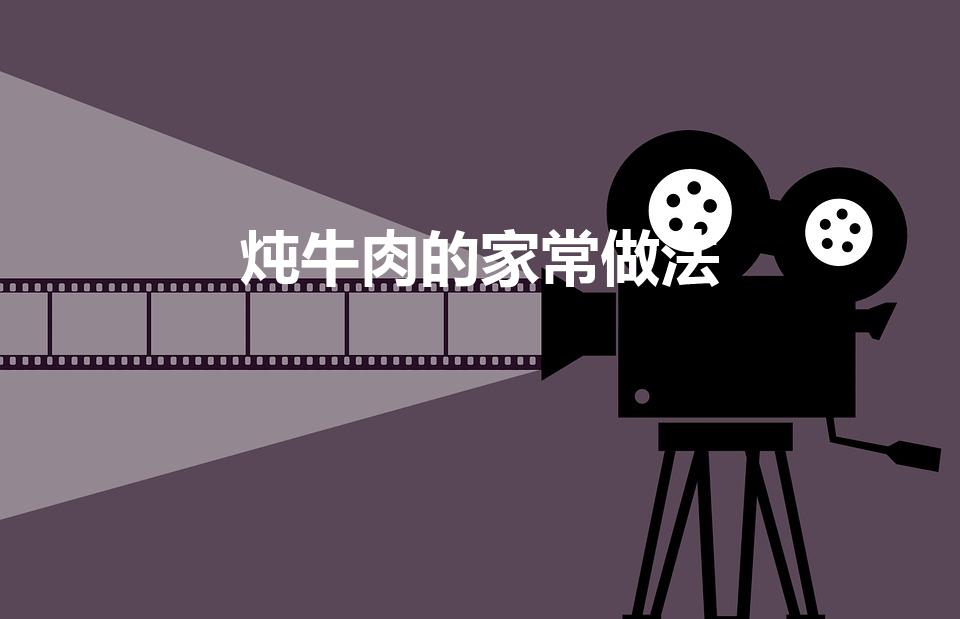 炖牛肉的家常做法（怎样炖牛肉的做法大全窍门）