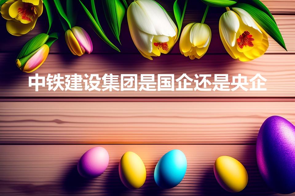 中铁建设集团是国企还是央企（中铁建是国企吗）