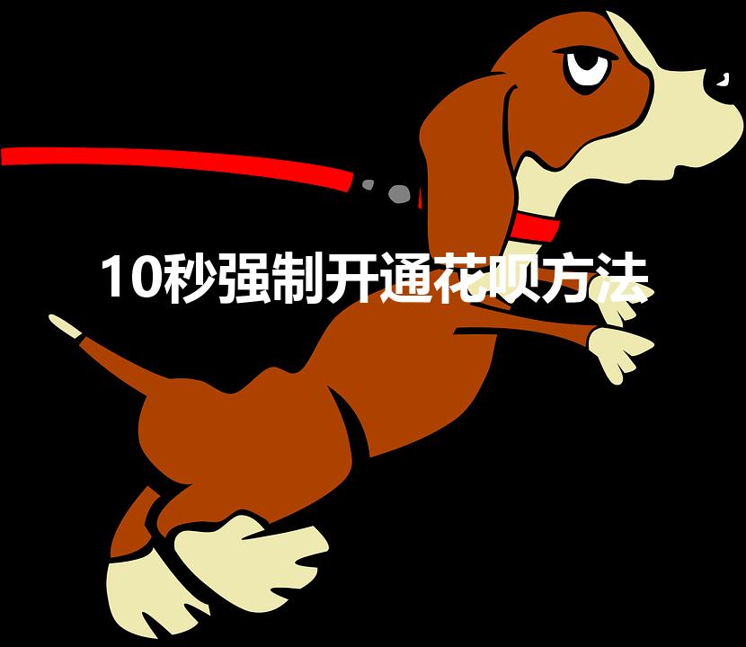 10秒强制开通花呗方法（强制开通花呗方法）